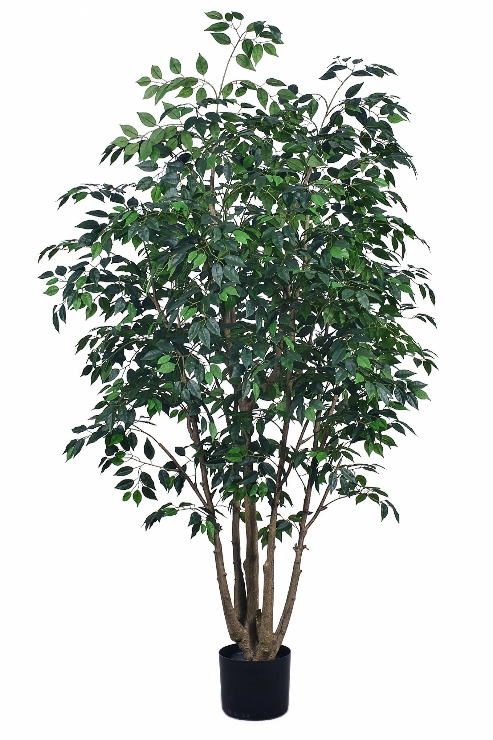 Ficus F: Large Artificial Banyan-Style Ficus Tree with Aged Trunk