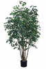 Ficus F: Large Artificial Banyan-Style Ficus Tree with Aged Trunk