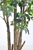 Ficus F 2.3m: Large Artificial Banyan-Style Ficus Tree with Aged Trunk