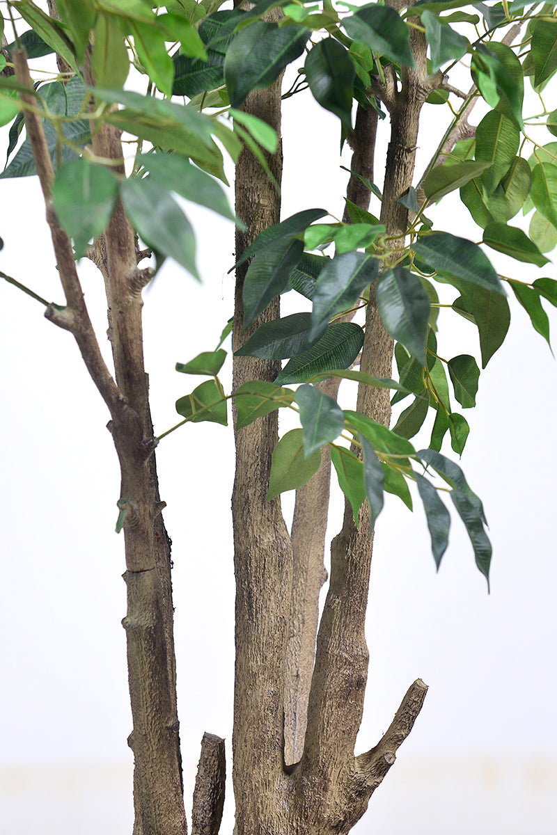 Ficus F 2.3m: Large Artificial Banyan-Style Ficus Tree with Aged Trunk
