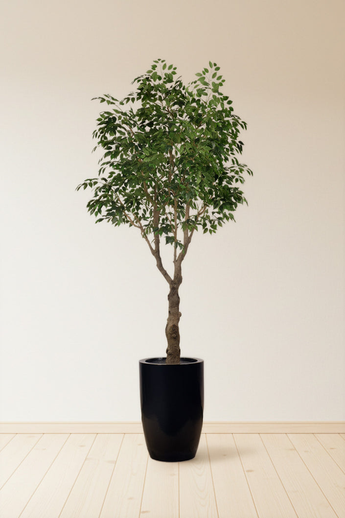 Ficus F 2.8m: Large Artificial Banyan-Style Ficus Tree with Aged Trunk