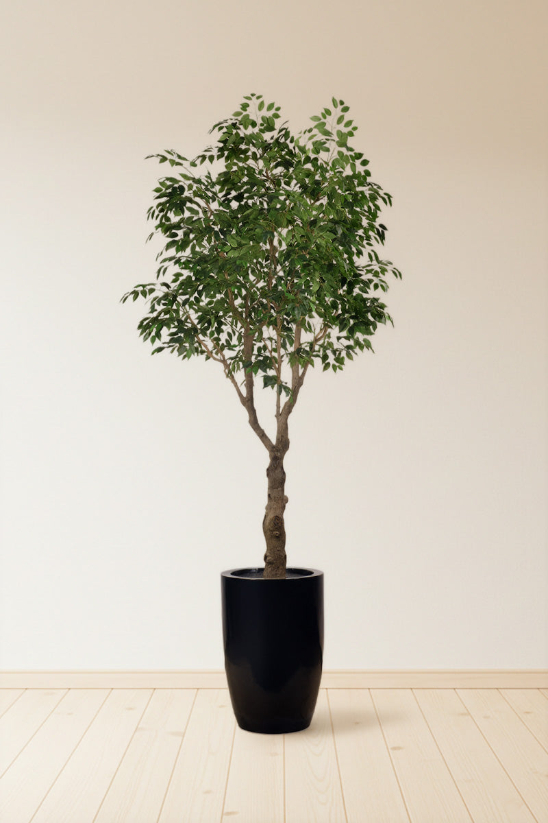 Ficus F 2.8m: Large Artificial Banyan-Style Ficus Tree with Aged Trunk