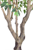 Ficus F 2.8m: Large Artificial Banyan-Style Ficus Tree with Aged Trunk