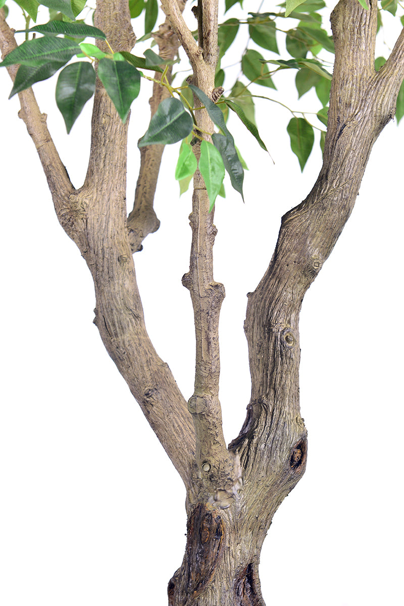 Ficus F 2.8m: Large Artificial Banyan-Style Ficus Tree with Aged Trunk