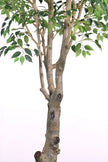 Ficus F 2.8m: Large Artificial Banyan-Style Ficus Tree with Aged Trunk