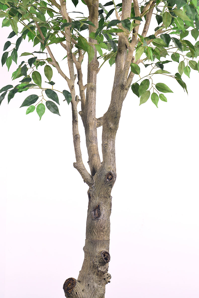 Ficus F 2.8m: Large Artificial Banyan-Style Ficus Tree with Aged Trunk