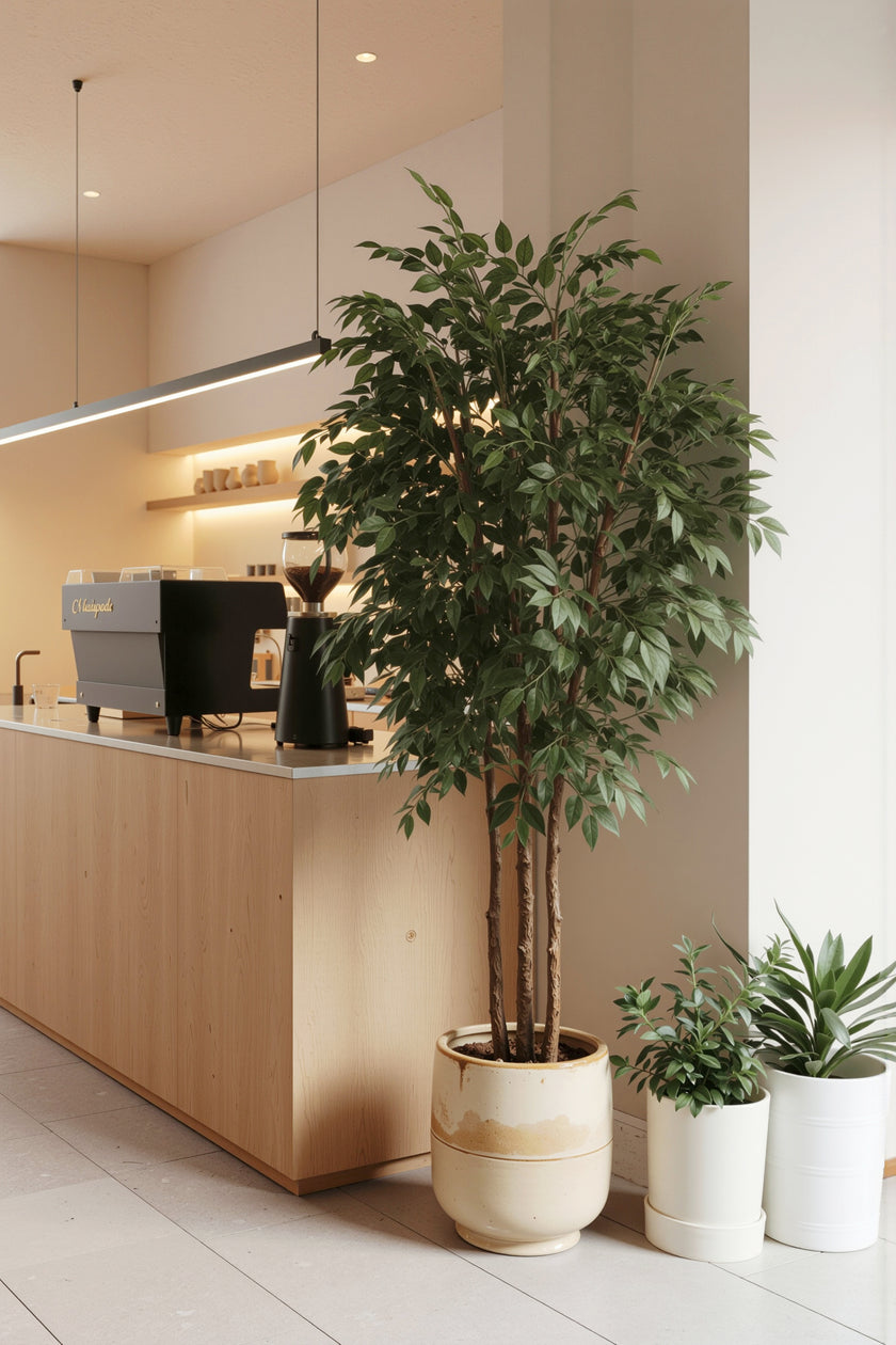 Ficus F: Large Artificial Banyan-Style Ficus Tree with Aged Trunk