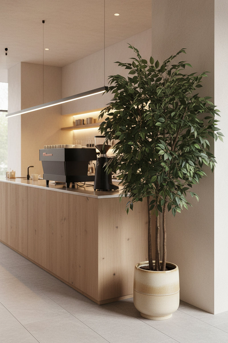 Ficus F 2.3m: Large Artificial Banyan-Style Ficus Tree with Aged Trunk