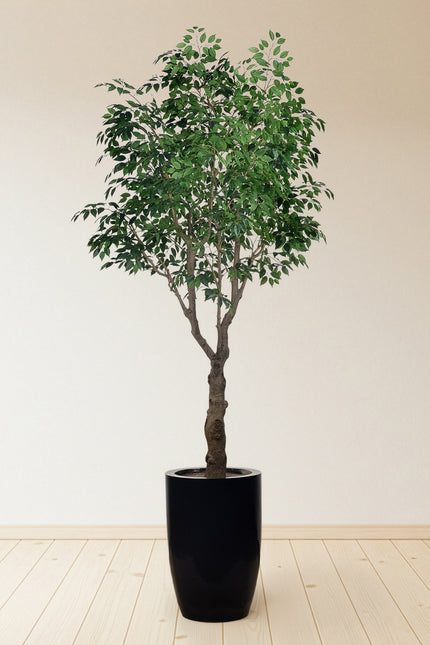 Ficus F: Large Artificial Banyan-Style Ficus Tree with Aged Trunk