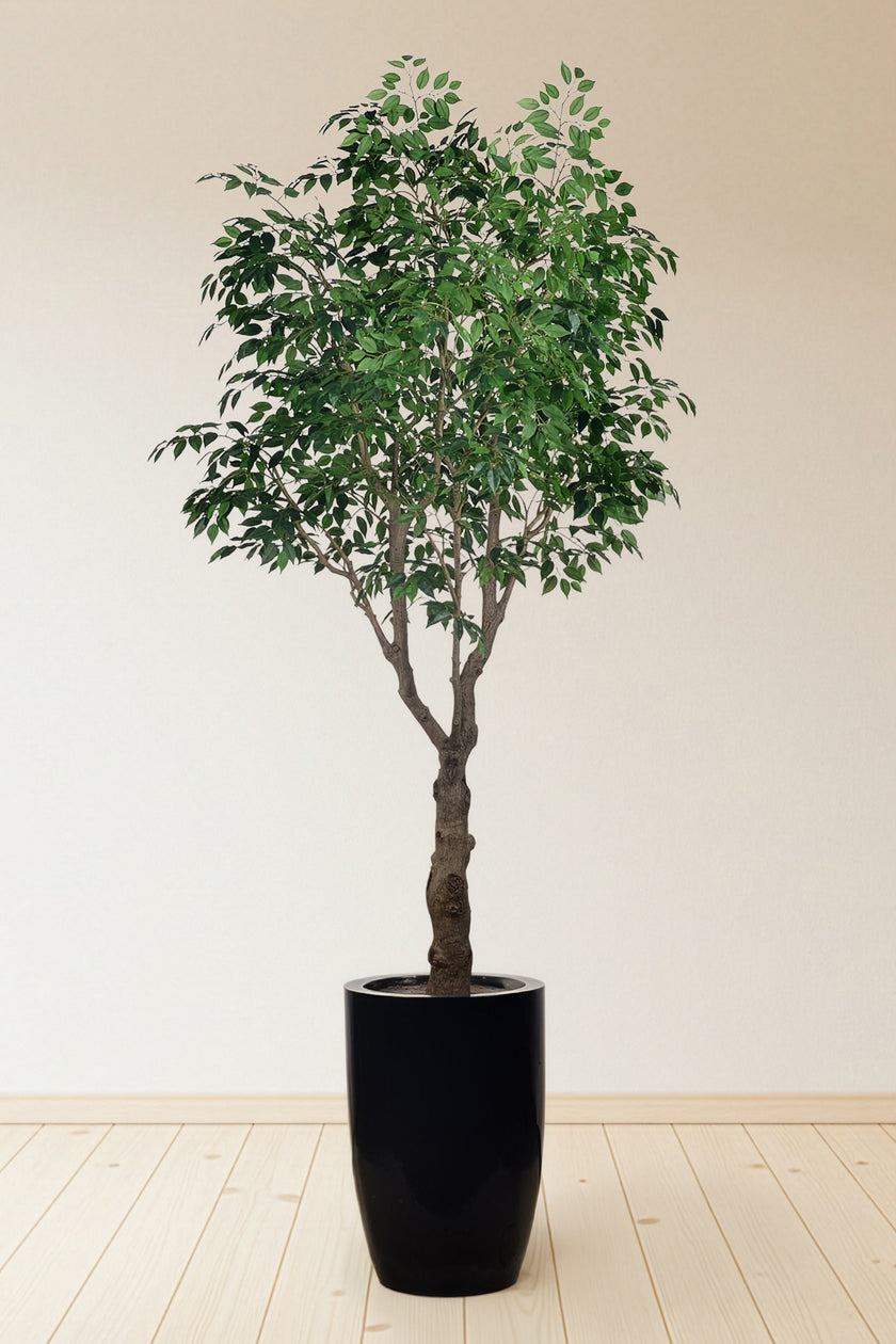 Ficus F: Large Artificial Banyan-Style Ficus Tree with Aged Trunk