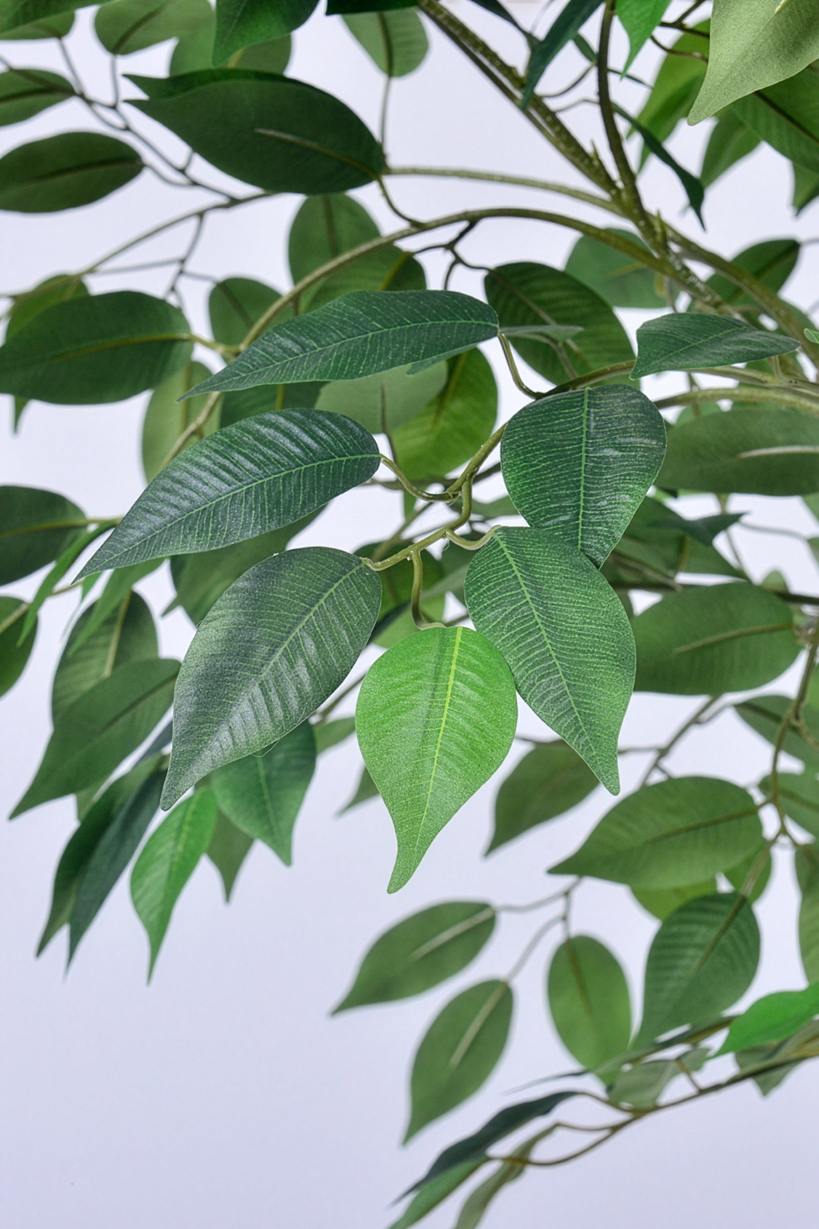 Ficus F: Large Artificial Banyan-Style Ficus Tree with Aged Trunk
