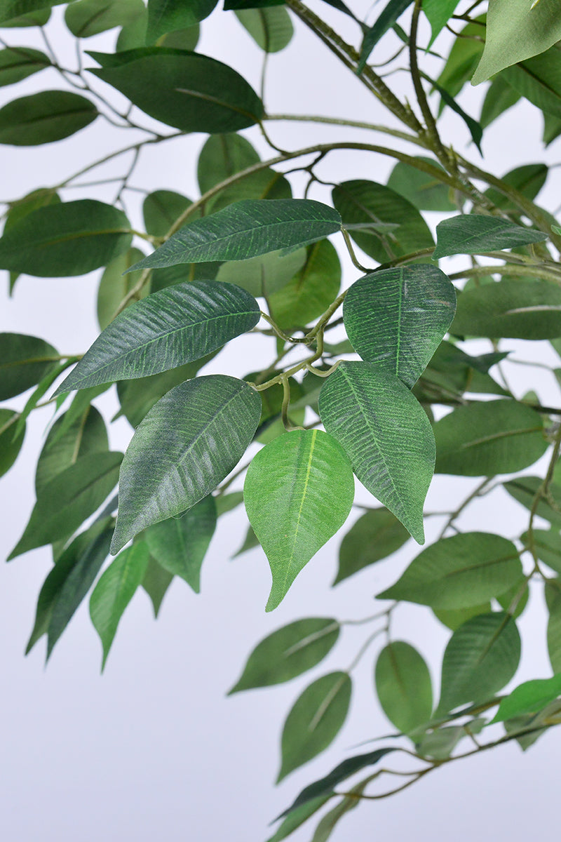 Ficus F 2.3m: Large Artificial Banyan-Style Ficus Tree with Aged Trunk