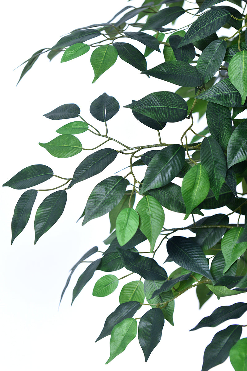 Ficus F 2.8m: Large Artificial Banyan-Style Ficus Tree with Aged Trunk