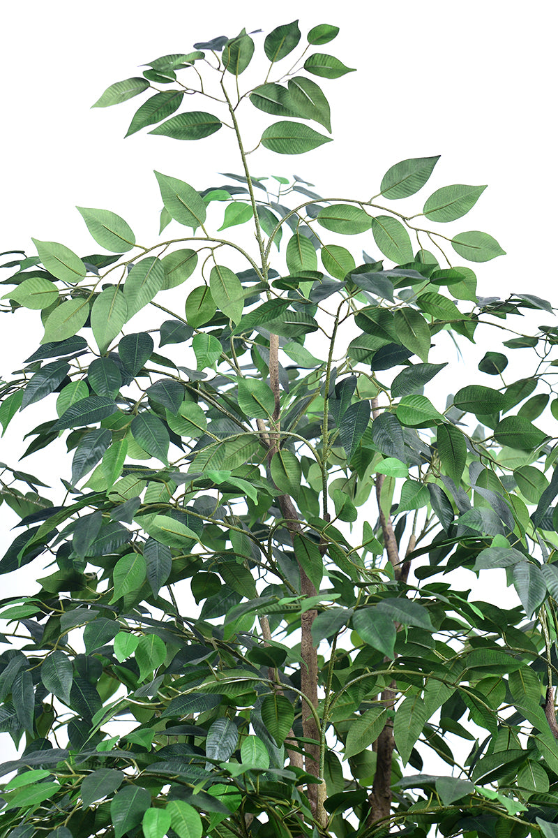 Ficus F 2.8m: Large Artificial Banyan-Style Ficus Tree with Aged Trunk