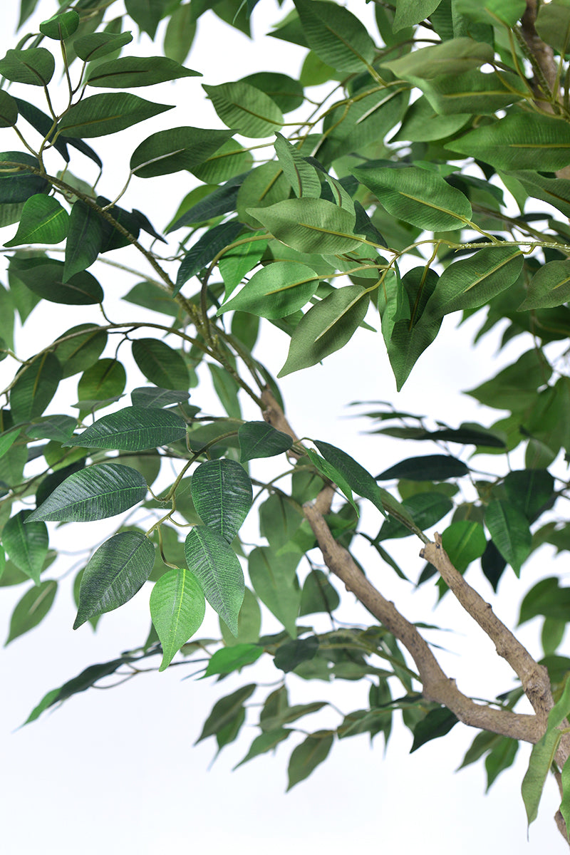 Ficus F 2.8m: Large Artificial Banyan-Style Ficus Tree with Aged Trunk