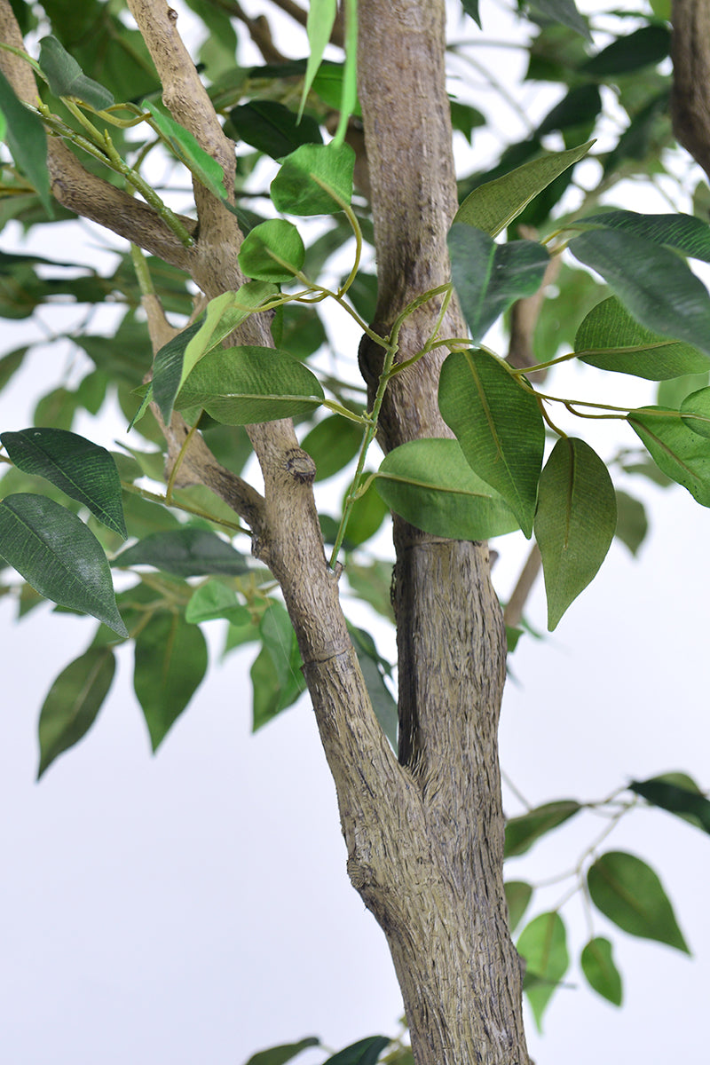 Ficus F 2.8m: Large Artificial Banyan-Style Ficus Tree with Aged Trunk