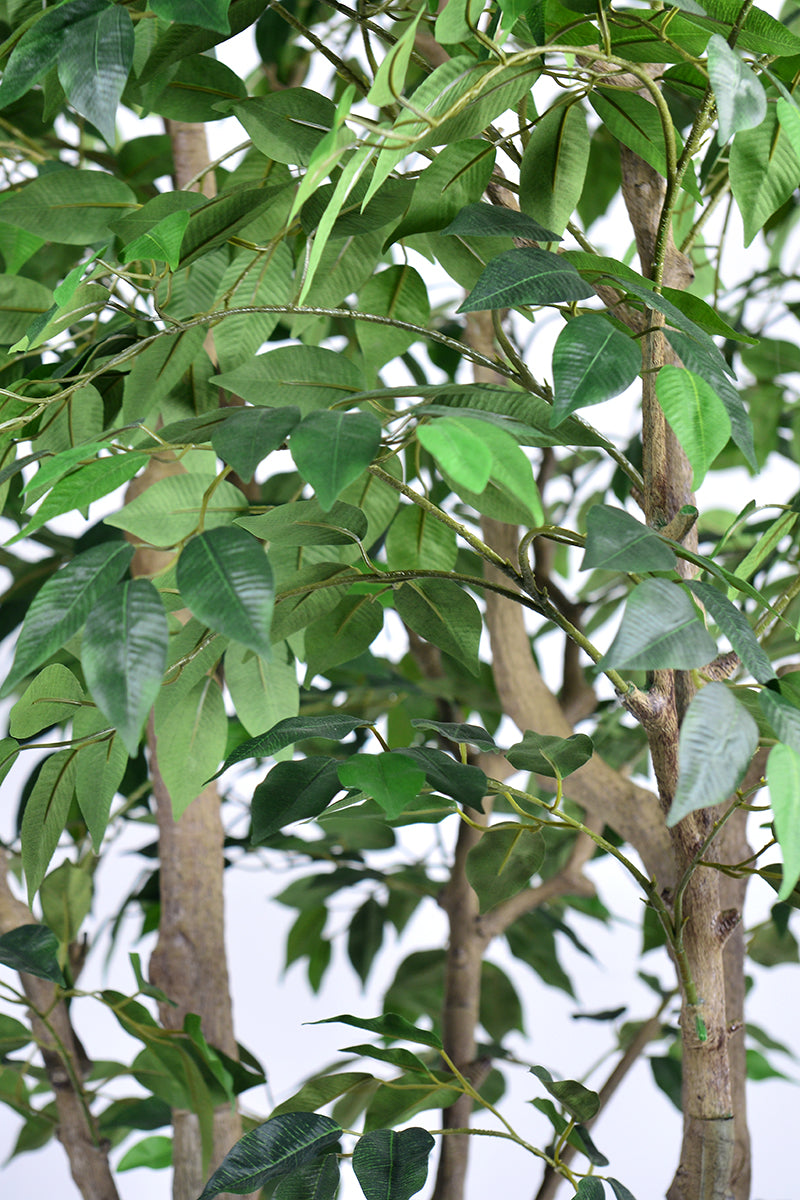 Ficus F 2.8m: Large Artificial Banyan-Style Ficus Tree with Aged Trunk