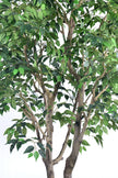 Ficus F 2.8m: Large Artificial Banyan-Style Ficus Tree with Aged Trunk