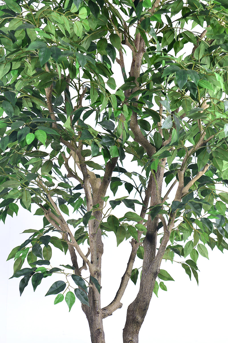 Ficus F 2.8m: Large Artificial Banyan-Style Ficus Tree with Aged Trunk