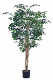 Ficus G: Artificial Ficus Tree with Multiple Natural-Style Trunks