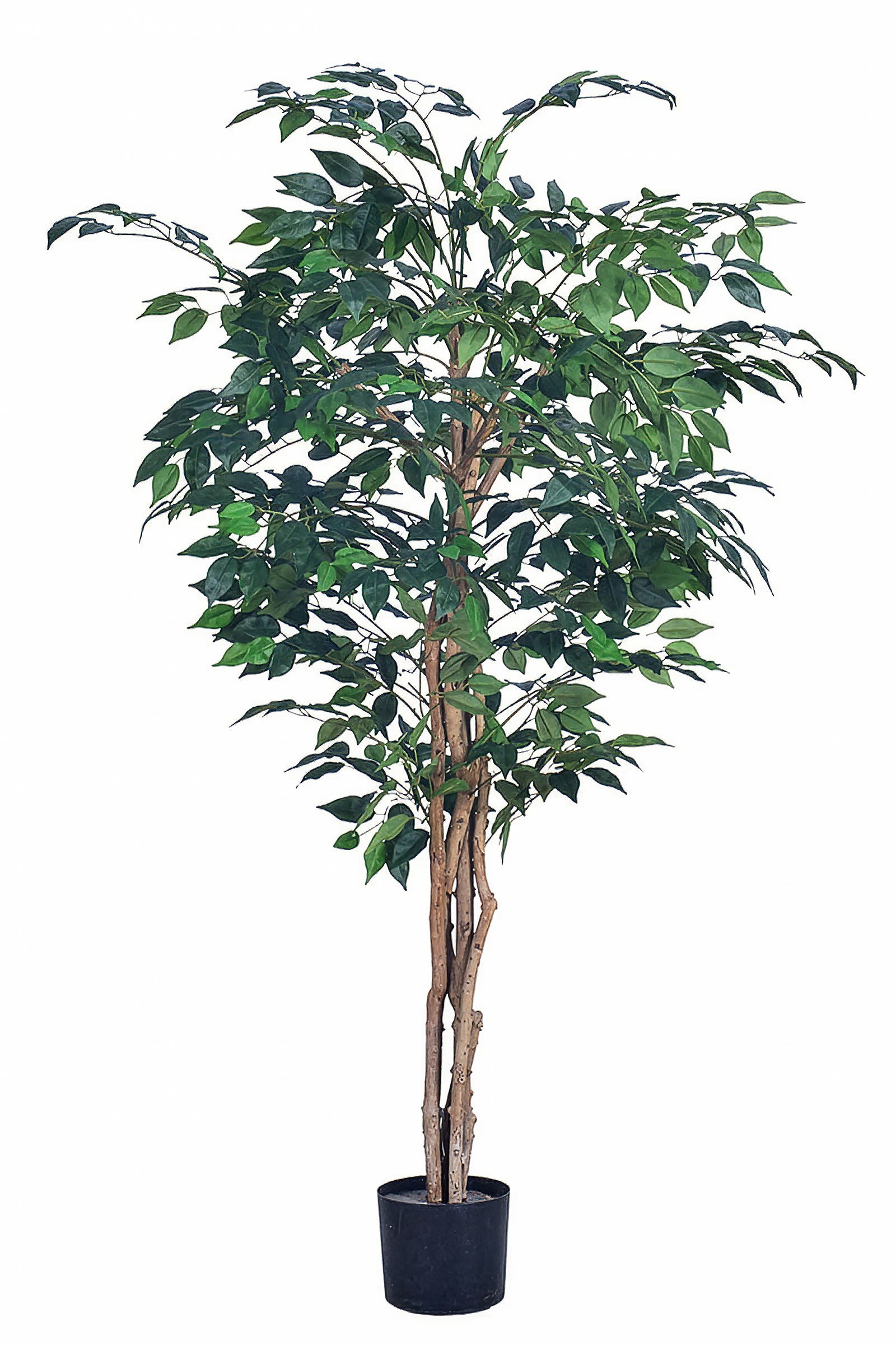 Ficus G: Artificial Ficus Tree with Multiple Natural-Style Trunks