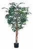 Ficus G: Artificial Ficus Tree with Multiple Natural-Style Trunks