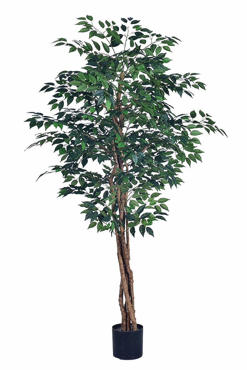 Ficus G: Artificial Ficus Tree with Multiple Natural-Style Trunks