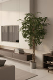Ficus G: Artificial Ficus Tree with Multiple Natural-Style Trunks