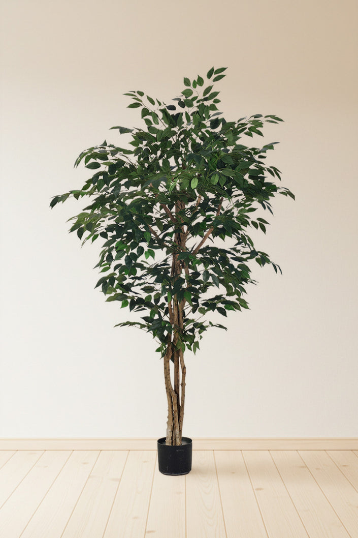 Ficus G: Artificial Ficus Tree with Multiple Natural-Style Trunks