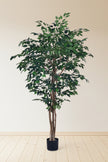 Ficus G: Artificial Ficus Tree with Multiple Natural-Style Trunks