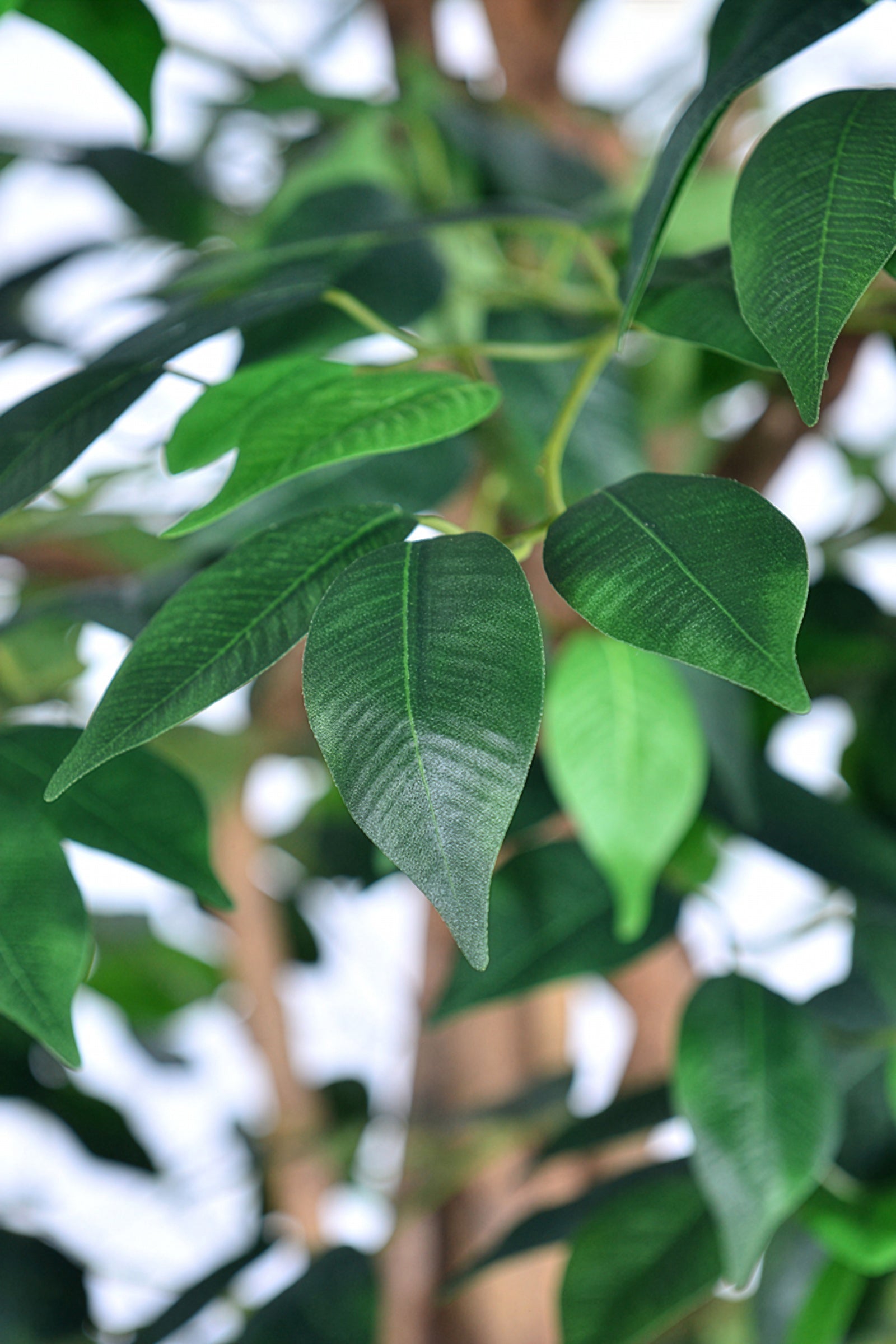 Ficus G: Artificial Ficus Tree with Multiple Natural-Style Trunks