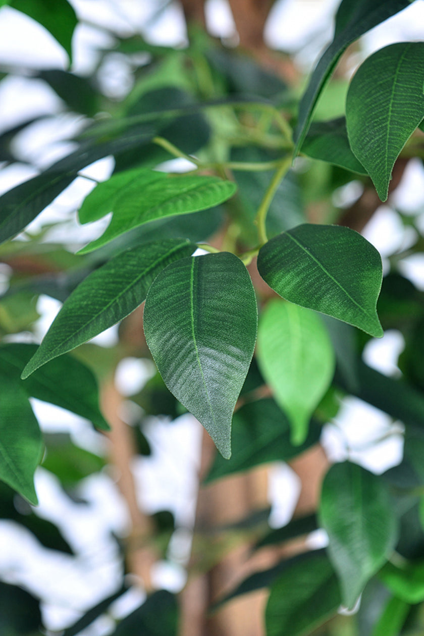 Ficus G: Artificial Ficus Tree with Multiple Natural-Style Trunks