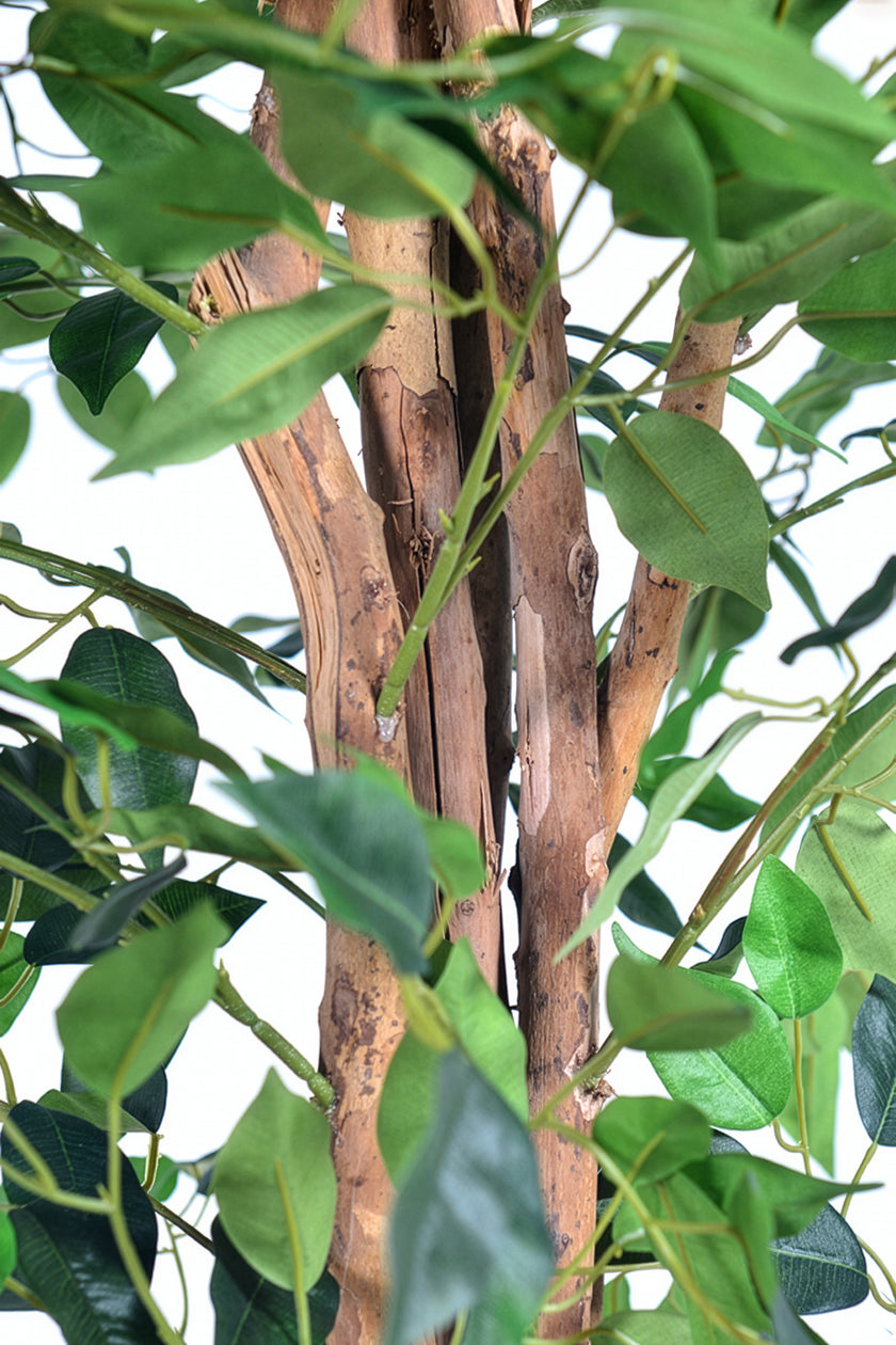 Ficus G: Artificial Ficus Tree with Multiple Natural-Style Trunks