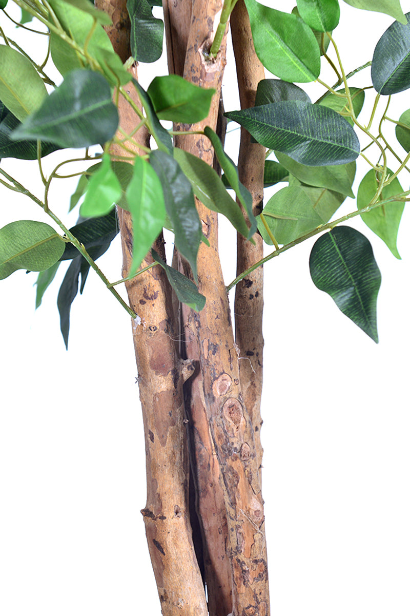 Ficus G: Artificial Ficus Tree with Multiple Natural-Style Trunks