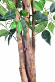 Ficus G: Artificial Ficus Tree with Multiple Natural-Style Trunks