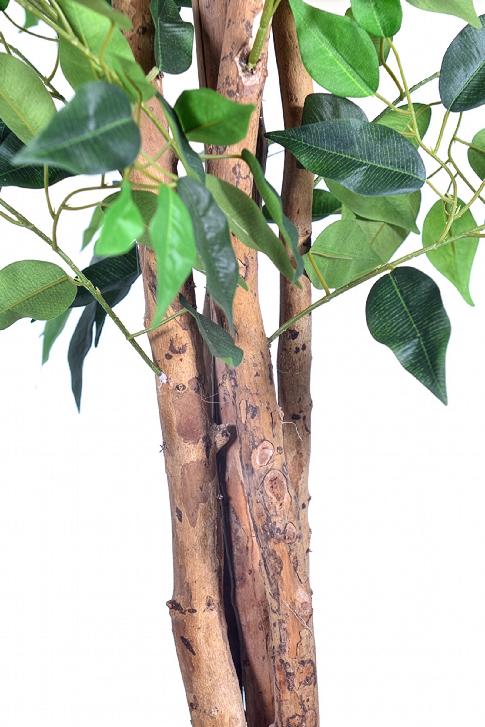 Ficus G: Artificial Ficus Tree with Multiple Natural-Style Trunks