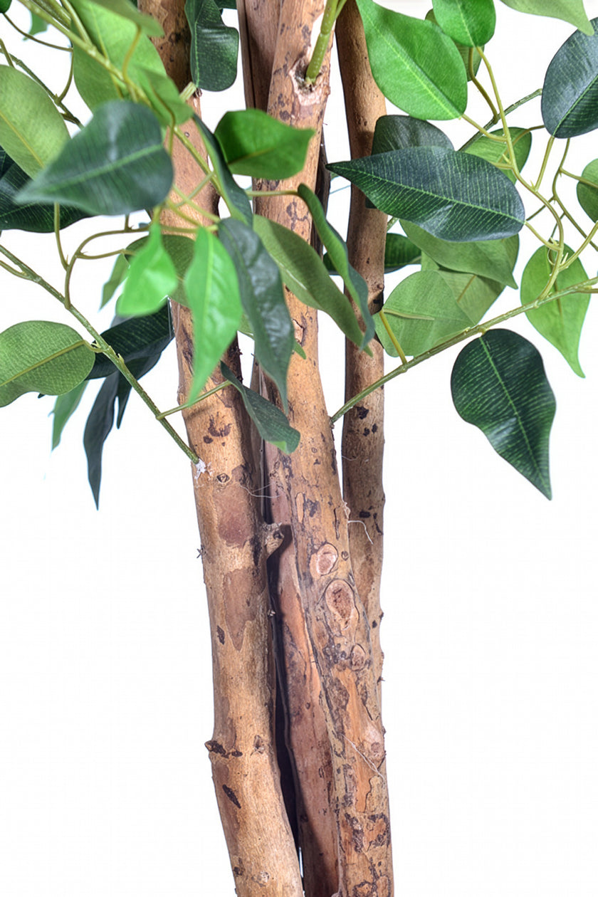 Ficus G: Artificial Ficus Tree with Multiple Natural-Style Trunks
