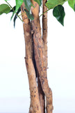 Ficus G: Artificial Ficus Tree with Multiple Natural-Style Trunks