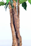 Ficus G: Artificial Ficus Tree with Multiple Natural-Style Trunks