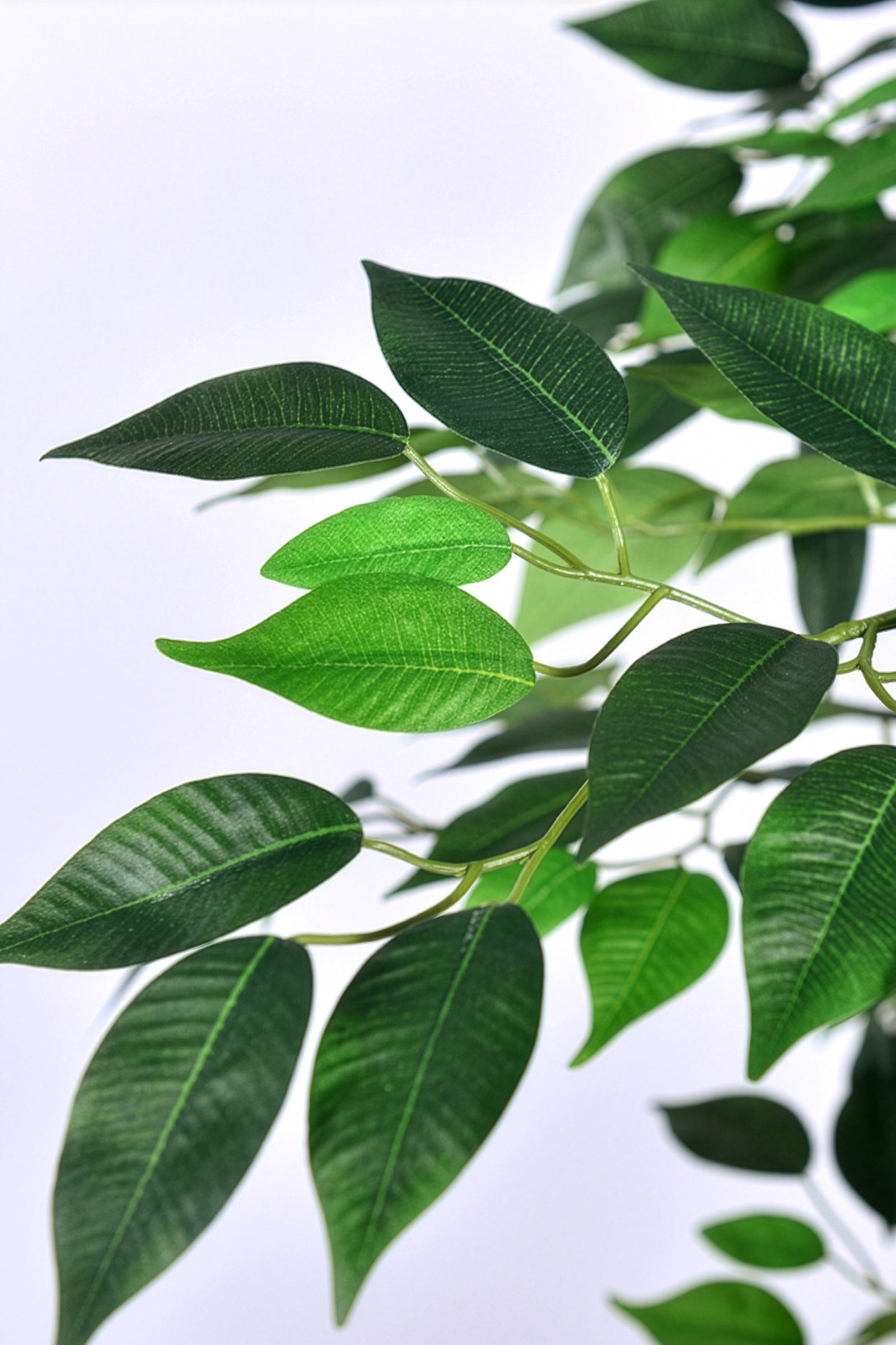Ficus G: Artificial Ficus Tree with Multiple Natural-Style Trunks
