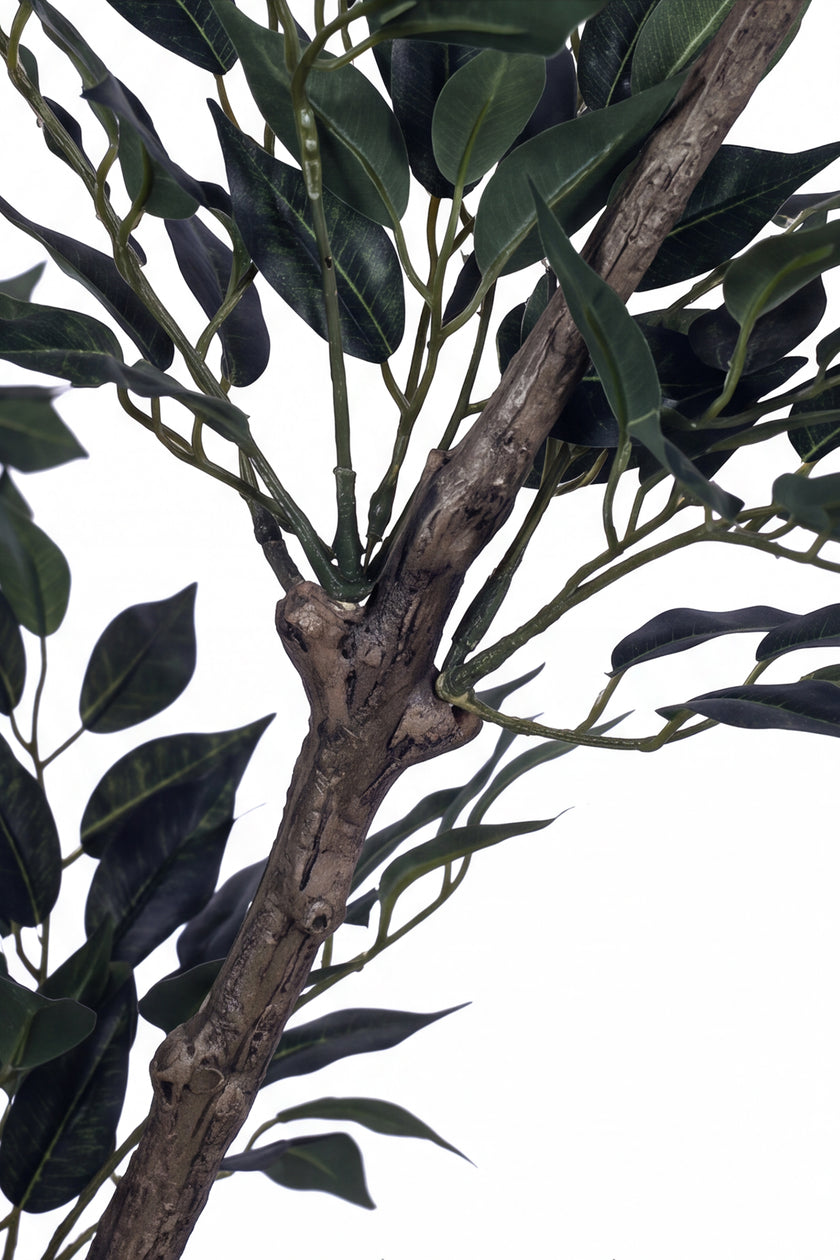 Ficus S: Artificial Ficus Tree with Fine, Small‑Leaf Foliage