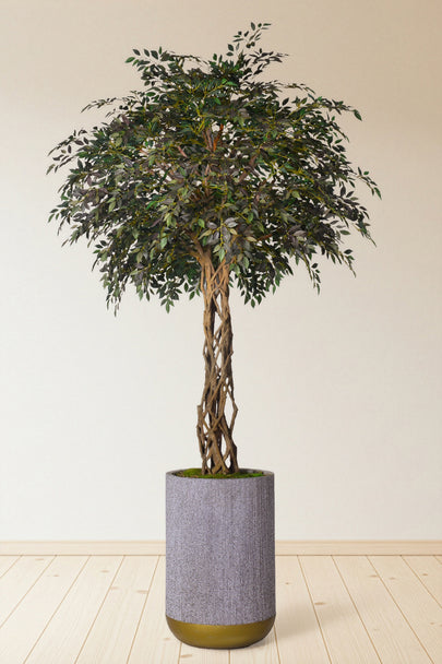 Ficus T: Tall Artificial Ficus Tree with Small‑Leaf Foliage and a Mature Trunk