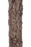 Ficus W: Artificial Ficus Tree with Elegant Willow‑Leaf Foliage