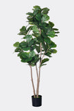 Fiddle E: Artificial Fiddle Leaf Fig Tree with Large Textured Leaves