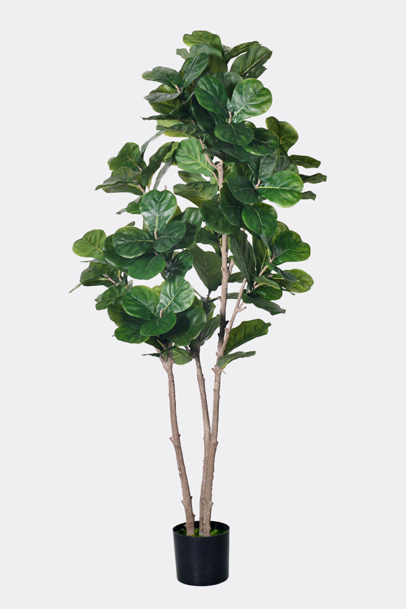 Fiddle E: Artificial Fiddle Leaf Fig Tree with Large Textured Leaves