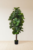 Fiddle E: Artificial Fiddle Leaf Fig Tree with Large Textured Leaves