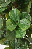 Fiddle E: Kunstmatige Vioolbladplant met Grote, Getextureerde Bladeren