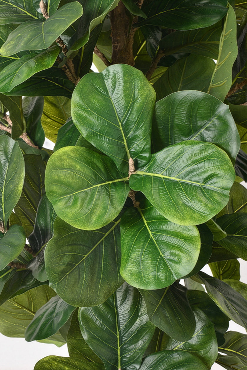 Fiddle E: Kunstmatige Vioolbladplant met Grote, Getextureerde Bladeren