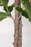 Fiddle E: Artificial Fiddle Leaf Fig Tree with Large Textured Leaves