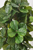 Fiddle E: Artificial Fiddle Leaf Fig Tree with Large Textured Leaves